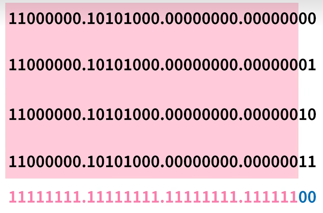 image-20251013113529447