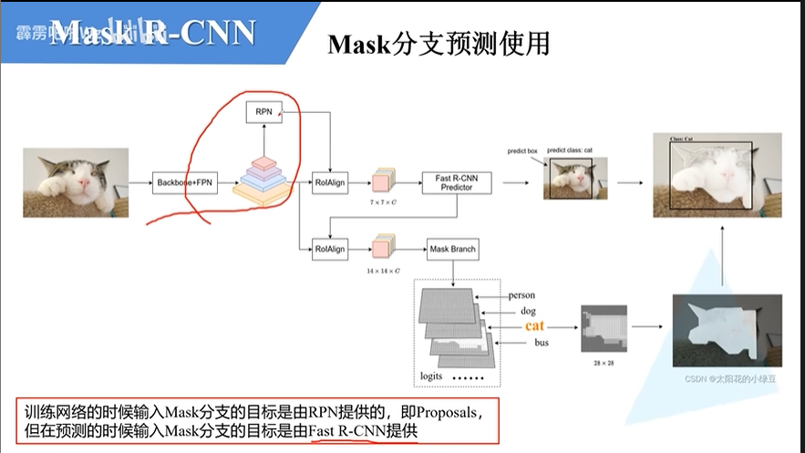 image-20250811175327478